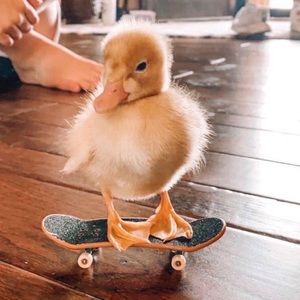 AMAZING POSHERS I’VE PURCHASED FROM!